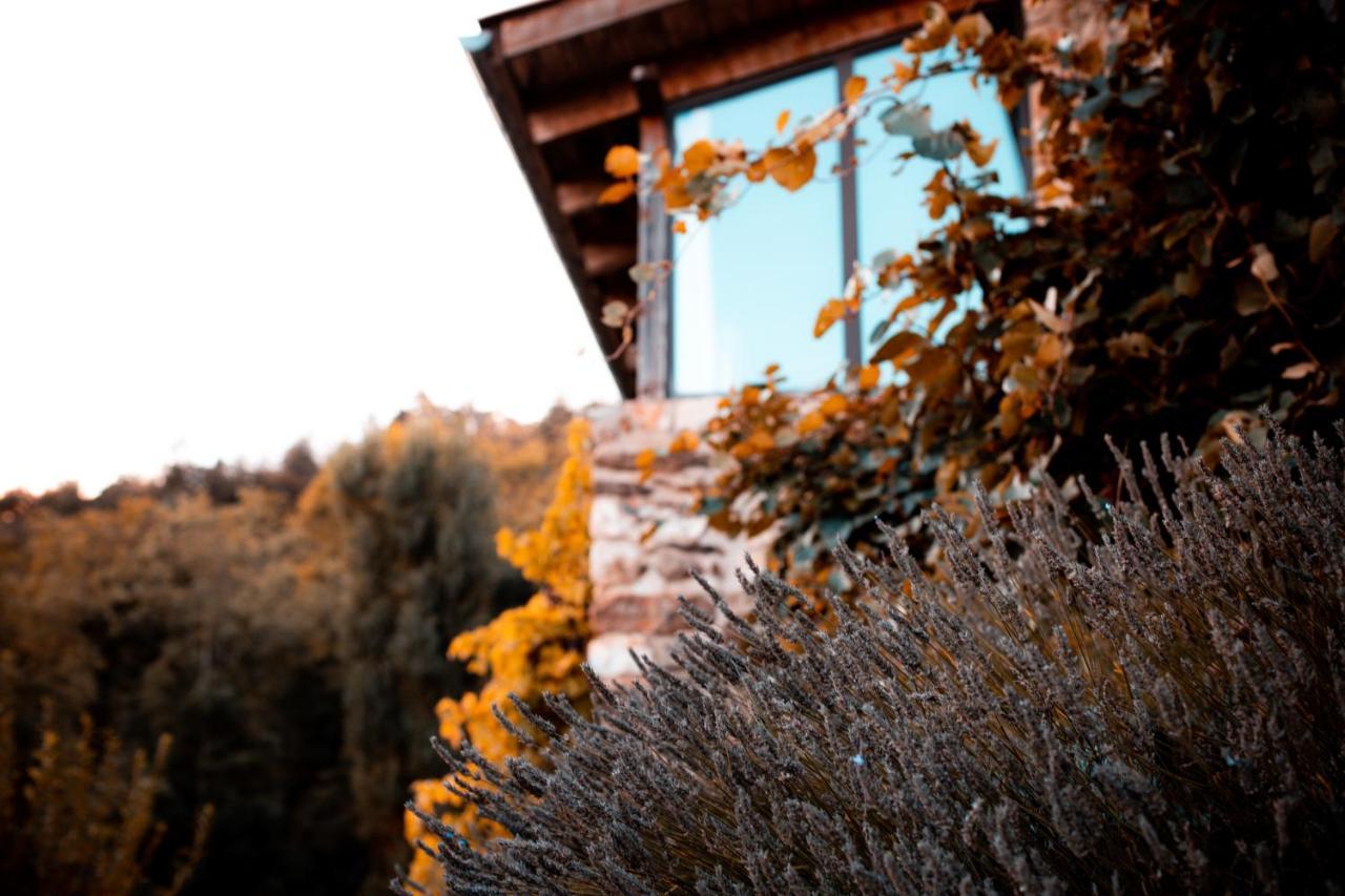 Maison D'Hotes Le Hameau De La Mure Saint-Laurent-du-Pape المظهر الخارجي الصورة