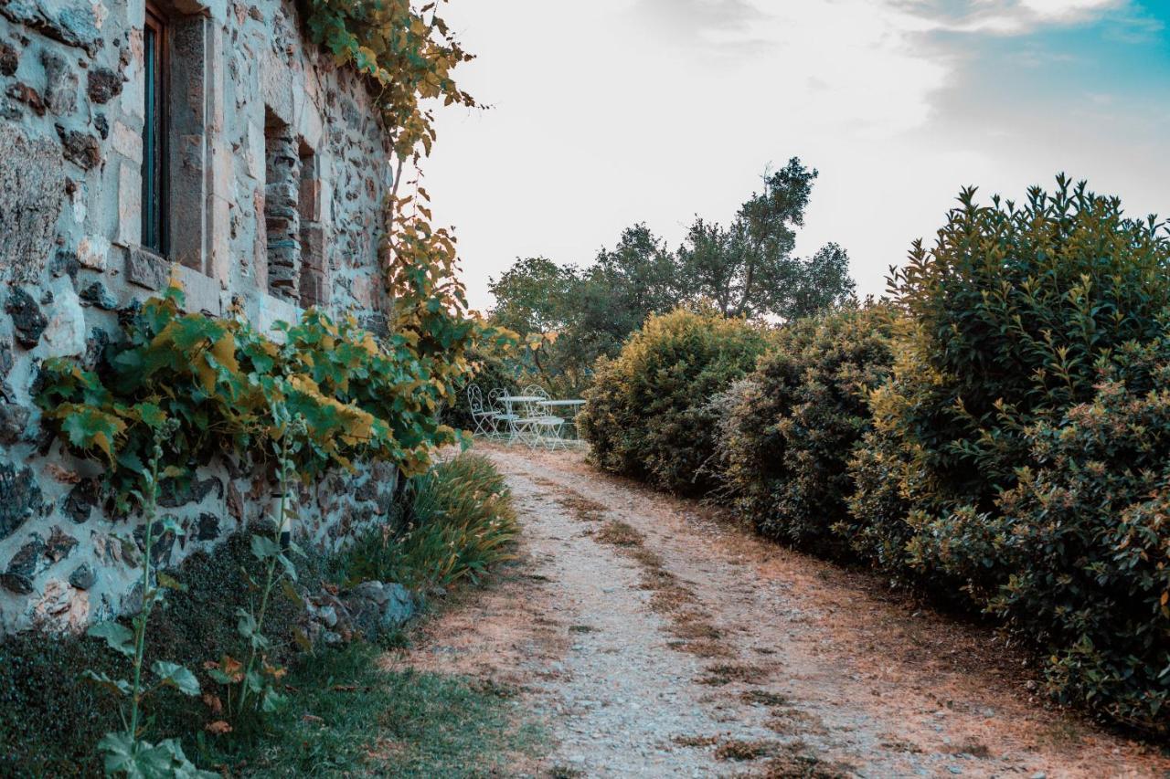 Maison D'Hotes Le Hameau De La Mure Saint-Laurent-du-Pape المظهر الخارجي الصورة