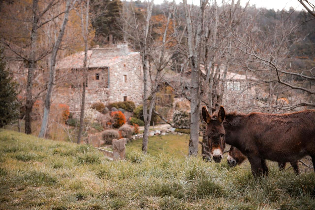 Maison D'Hotes Le Hameau De La Mure Saint-Laurent-du-Pape المظهر الخارجي الصورة