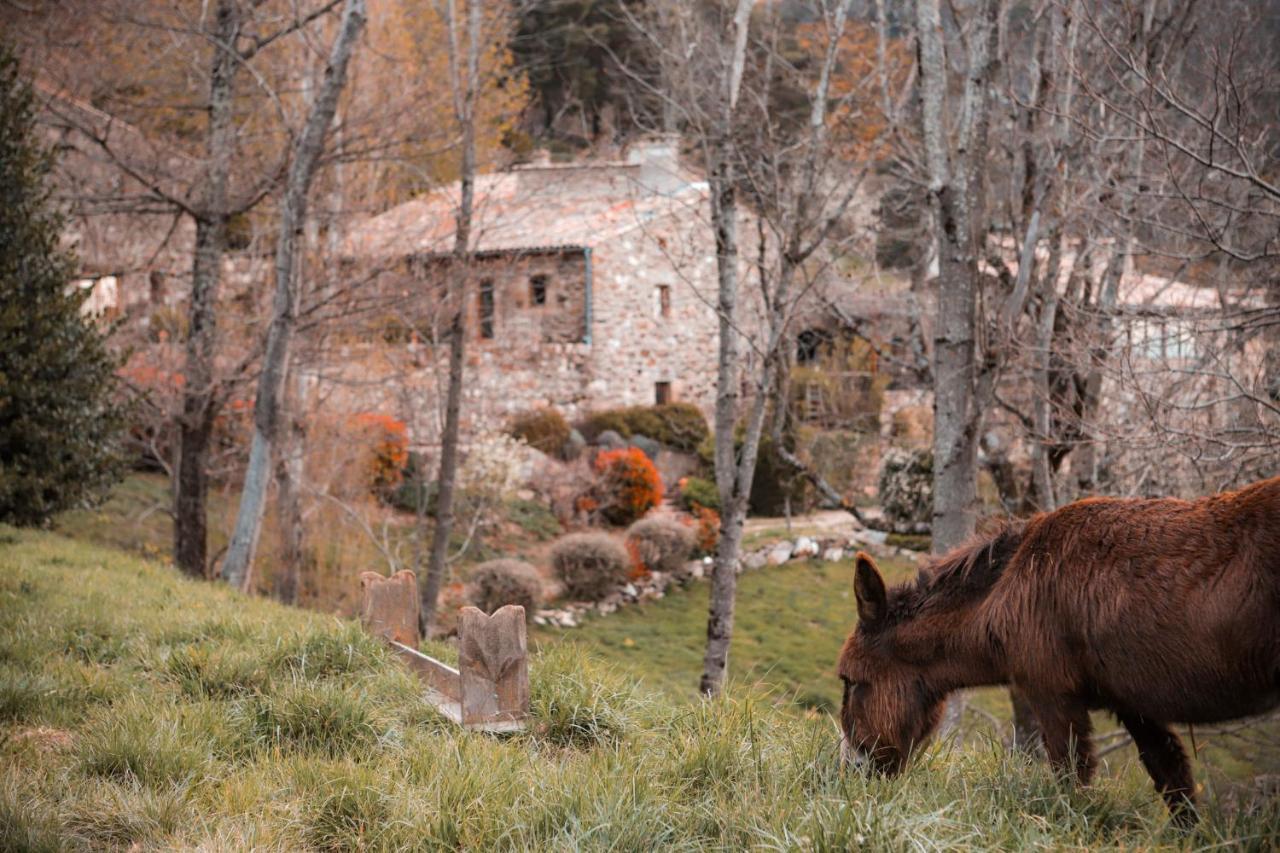 Maison D'Hotes Le Hameau De La Mure Saint-Laurent-du-Pape المظهر الخارجي الصورة