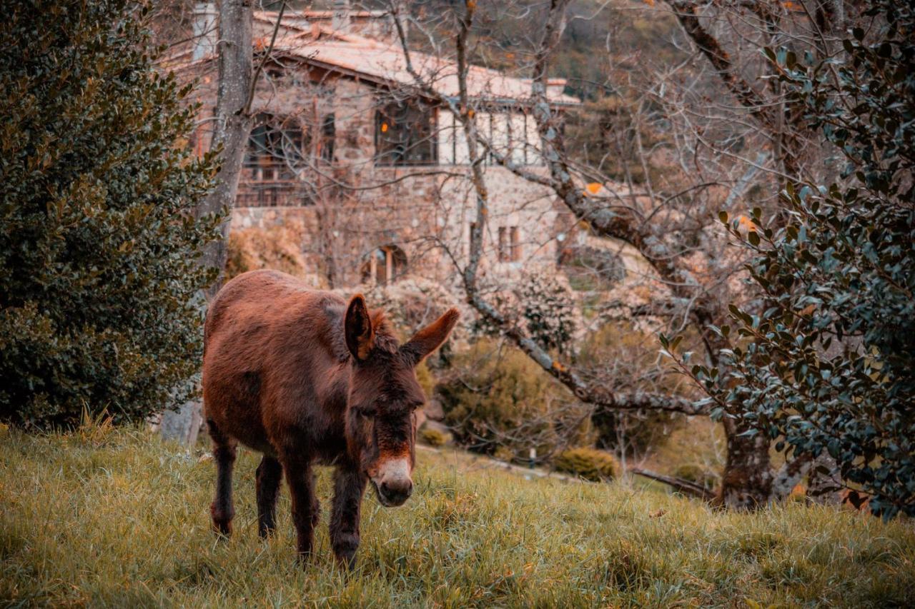Maison D'Hotes Le Hameau De La Mure Saint-Laurent-du-Pape المظهر الخارجي الصورة